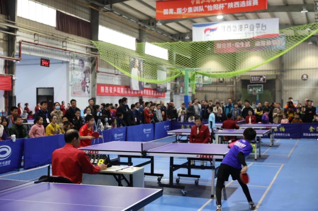 不仅展现了 不仅展现了