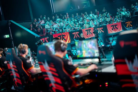 拜仁新任体 拜仁新任体