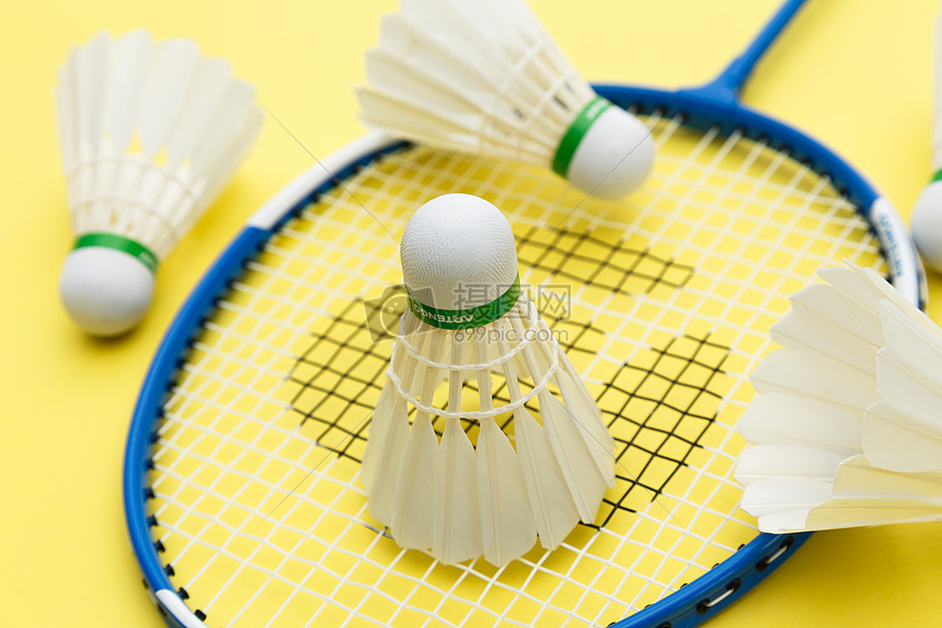 新生代力量 新生代力量