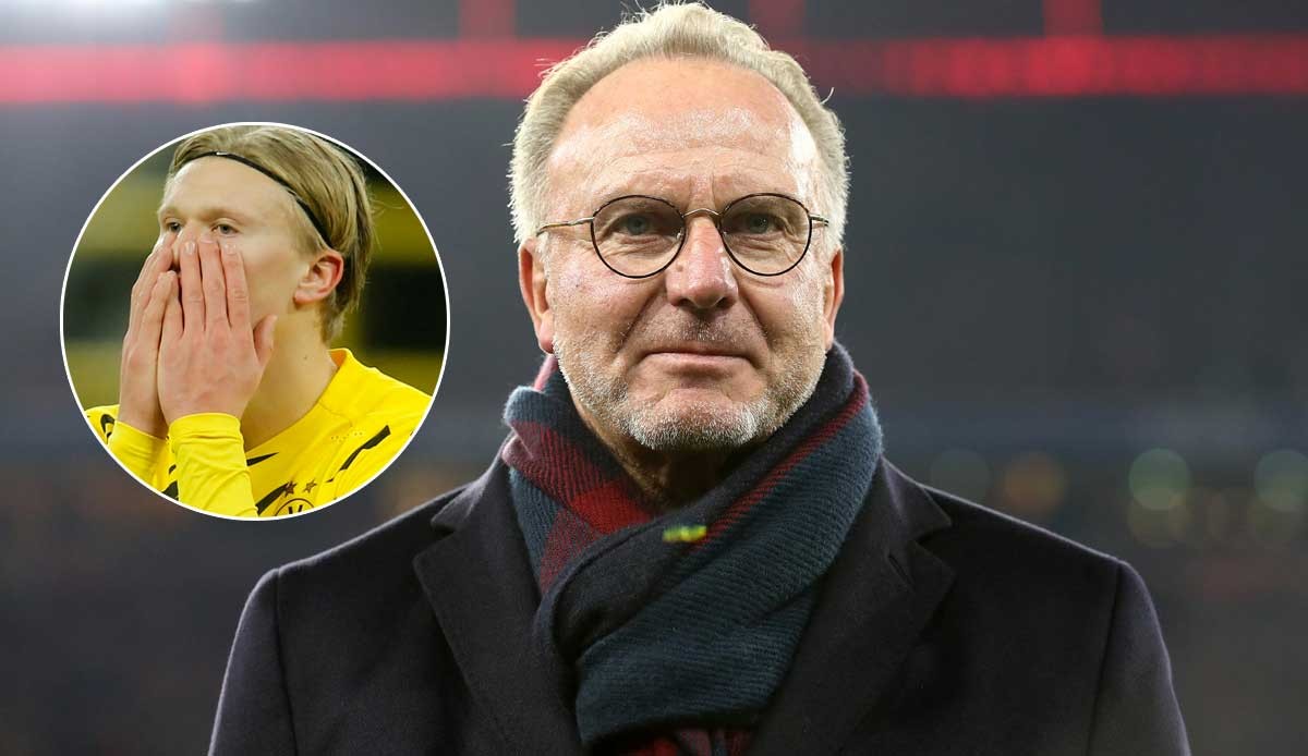 马仅败一场 马仅败一场